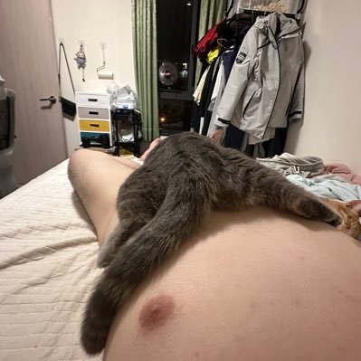 Moron82214's profile picture. 台中南屯 雙. 172/88/24 不喜10 喜肉，有興趣歡迎聊天，非自住，不限約