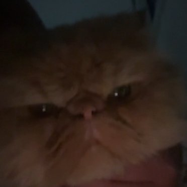 greyratfn's profile picture. 🇸🇪 | Player for @RegginEsports