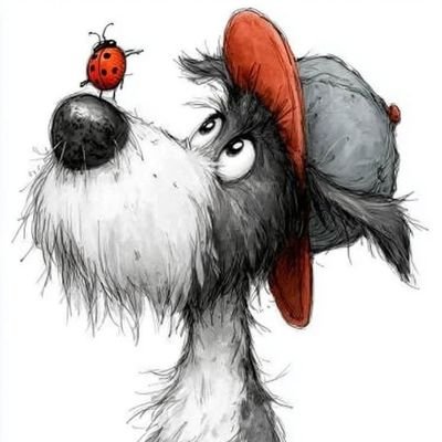 Robsonilva's profile picture. ❤️‍🔥🫶🏻🐞🦉🐈‍⬛♌️