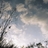 conclude9841's profile image