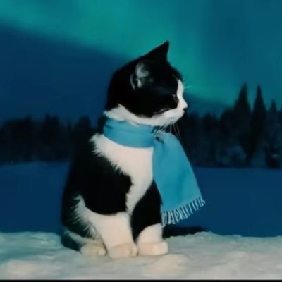 m4riahxo's profile picture. happy holidays !! // other acc: @divinem4r