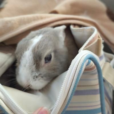 mandar1n_m1kqn's profile picture. NWエンジニア2年目☁海外で働くのが夢☁英語とエンジニアとしての勉強垢☁保有→一陸特