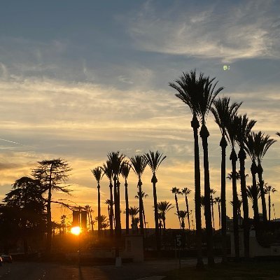 KenichiKudoPhD's profile picture. 名古屋大学アイソトープ総合センター・講師 | PhD(理学,論博)→放医研 3年→福島医大 3年→COH (CIRM grant) 3年→名大 1年目 | 放射線腫瘍学/放射線生物学/放射線安全管理学