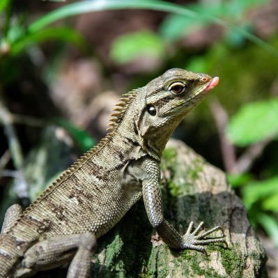 HKsnJyR2hN9AZD3's profile picture. 