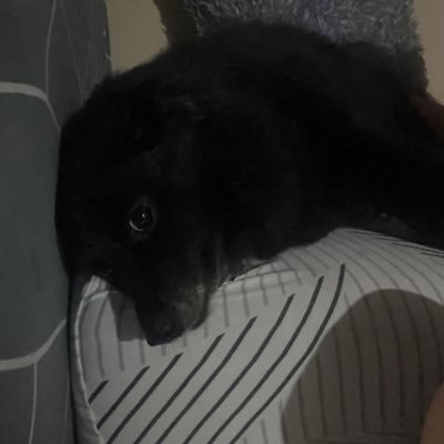 heyitsbreeey's profile picture. A little bit of heaven with a wild side 👅