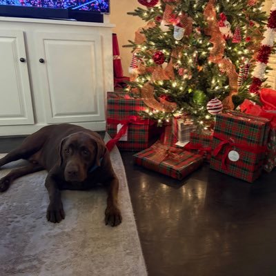 belliott0831951's profile picture. Aficionado of paper, MS State athletics, NOrleans Saints, crawfish, gumbo, duck hunting and golf. Husband and Dad