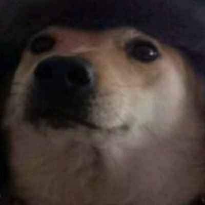 iguygidryduf21's profile picture. 