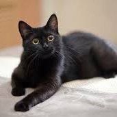 jonespena0712's profile picture. 