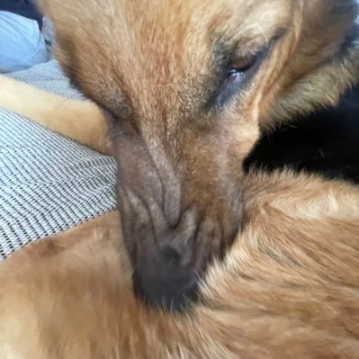 p4aaauuu's profile picture. 