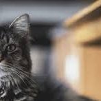 kimbroughriff06's profile picture. 