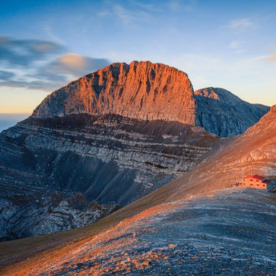 ChaoticNjutral's profile picture. 