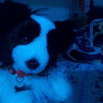 puppy4pres's profile picture. he 🏳️‍⚧️ #nsfwtwt