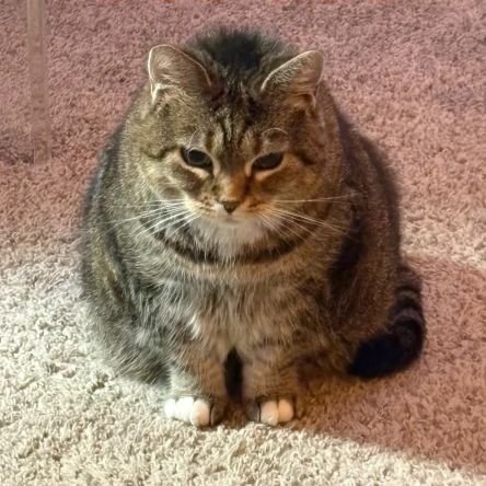 oiiai_oiiiiai's profile picture. 