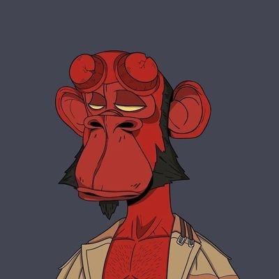 jacemorren1's profile picture. Crypto lover since 16 💜