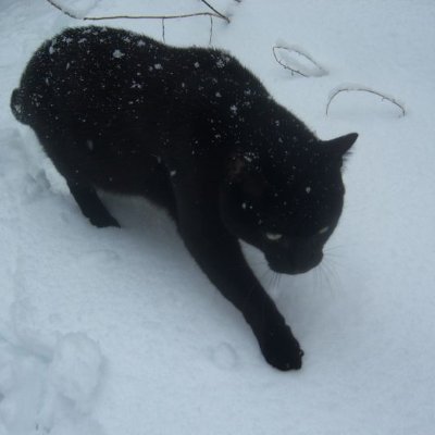 xcxzxczcz's profile picture. 