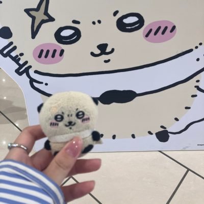 At9666058Yone's profile picture. ぬいぐるみ、どう森、ちいかわ大好きꈍ .̮ ꈍ 基本見る専です。