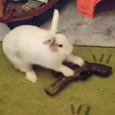 lagbox_'s profile picture. 