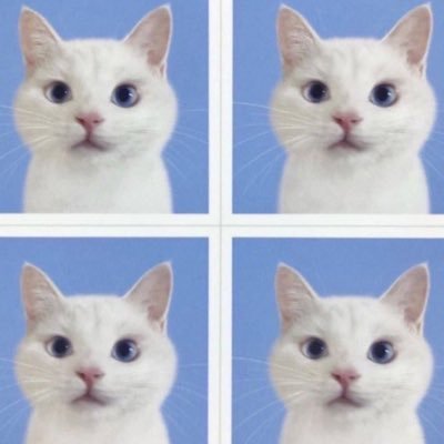 jijijiyaca's profile picture. buying acc!