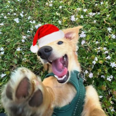 fonfan_suwun's profile picture. #วาดฝันวันวิวาห์👰‍♀️💔#เพียงเธอ🔫 🎙 #ใจซ่อนรัก 🩺🎬 #หลิงหลิง #หลิงออม💜 BLACKPINK 🖤💖 |Fan account LingOrm