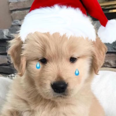 cozyblissy's profile picture. Fan account : @lena__lorena 🦋 | @miunatshaa 🧸