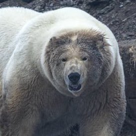 copethyself's profile picture. clip farm victim