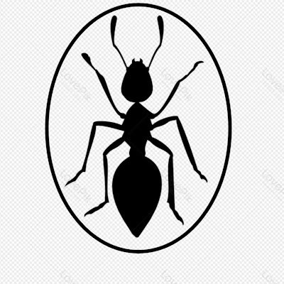 Antoel_hood's profile picture. 