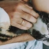 newsonaqua0712's profile picture. 