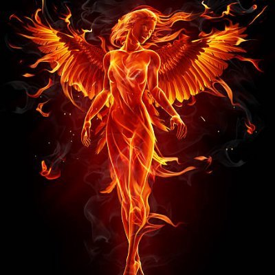 3ioq3rq's profile picture. 