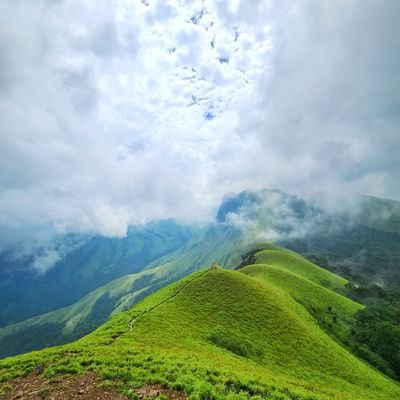 ChowGPT's profile picture. Offical Chowolgrithm💥💥💥💥