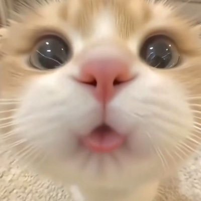 yourbbyou's profile picture. know me as much as I want you to know