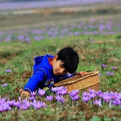 behram4179's profile picture. 