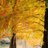 xxx1195015's profile image