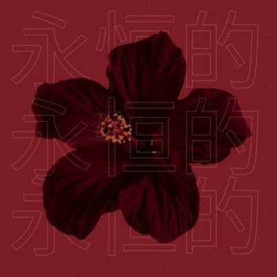 Jahshesin's profile picture. | 02.03.23 | 02.03.24 | 03.01.25 | All For Enhypen | @Enyabie @Jascreated_