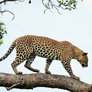 tom31873's profile picture. 