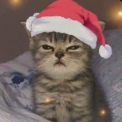 misha_stills's profile picture. 