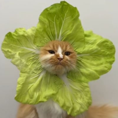 stickymilki's profile picture. hello seken cois