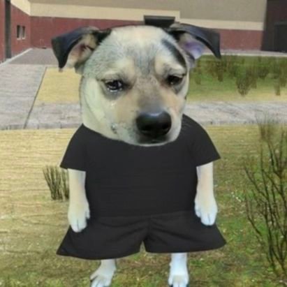 kcceartz's profile picture. constantemente dissociando