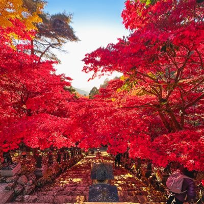 noriyuki510211's profile picture. ぽっちゃり裏垢男子です( ´•ᴗ•ก)喜んでもらえるようなリポストを心掛けています😊🎶