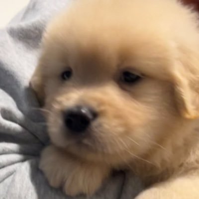 poohtothejune's profile picture. ⠀ ⠀ ⋆ 𓂃꙳ 𝘨𝘰𝘳𝘯 ♡̶ 𝘰𝘯𝘨𝘭𝘦𝘦 ♡̶ 𝘯𝘦𝘹 ♡̶ 𝘬𝘦𝘯𝘨𝘯𝘢𝘮𝘱𝘪𝘯𝘨 ♡̶ 𝘵𝘭𝘦𝘧𝘪𝘳𝘴𝘵𝘰𝘯𝘦 ♡̶ 𝘮𝘢𝘳𝘬𝘭𝘦𝘦 ♡̶ 𝘫𝘢𝘦𝘮𝘪𝘯 ૮꒰ྀི∩´ ᵕ `∩꒱ྀིა ꙳ 𓂃⋆