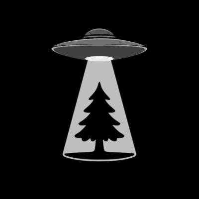 MagicForestLand's profile picture. Officially registered non-profit uniting nature, art & community 🌱 Reg. #77434 | G21911227 | Barcelona 🇪🇸