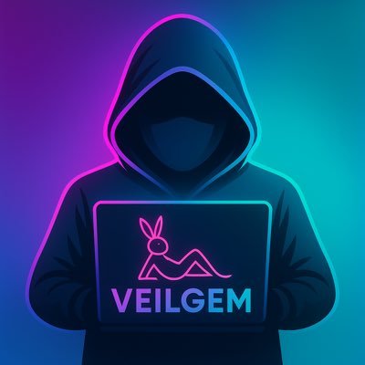 VeilGem's profile picture. Solana sniper || Early plays only || Real alpha every run ⚡|| Dm for Gems & Promo 📩