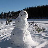 imrantahir6320's profile picture. 