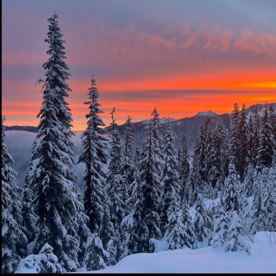 Tronerator's profile picture. 