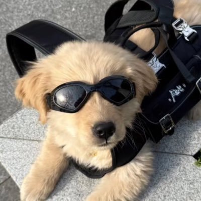 a ckay thing Profile