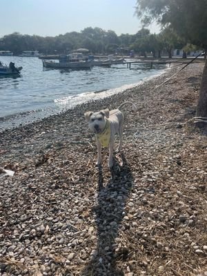 petrou_7's profile picture. 