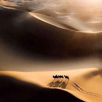 Jebli_'s profile picture. 