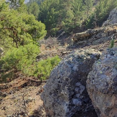 UgurluDunya's profile picture. NFTs ❤️
Computer Teacher 💻 
My scientific article 👉
https://t.co/NjfgantBzr