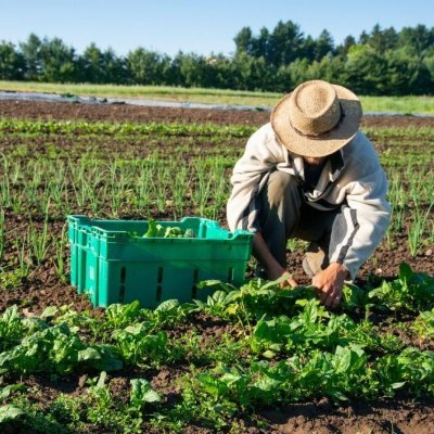 sankaraakumar's profile picture. 