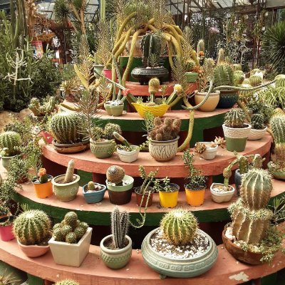 MieuDivaAHo's profile picture. 