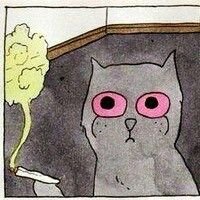 Dayanneexss's profile picture. 